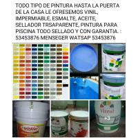PINTURAS PARA SU HOGAR SELLADAS TRAMPRTE GRATIS 53453876